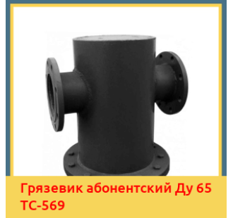 Грязевик абонентский Ду 65 ТС-569 в Усть-Каменогорске