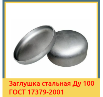 Заглушка стальная Ду 100 ГОСТ 17379-2001 в Усть-Каменогорске