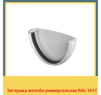 Заглушка желоба универсальная RAL 1017 в Усть-Каменогорске